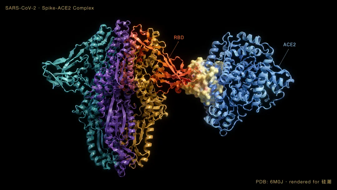 Molecular - GPT Image 2