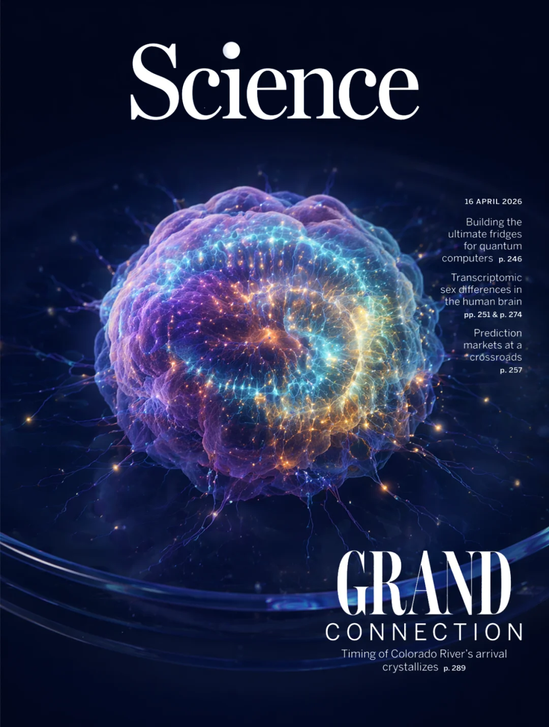 Brain Organoid Cover